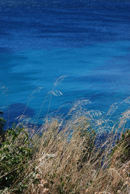 Auberge Du Cap Negre Le Lavandou Bagian luar foto